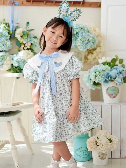 Embroidery Collar Cottage Dress