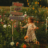 Clara Dress - Bamboo Books