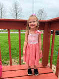 Load image into Gallery viewer, Bamboo Bunny Ears with Bow -  Tulle Skirt Twirl Dress in Pink Gingham Print
