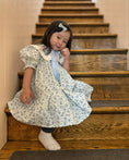 Load image into Gallery viewer, Embroidery Collar Cottage Dress
