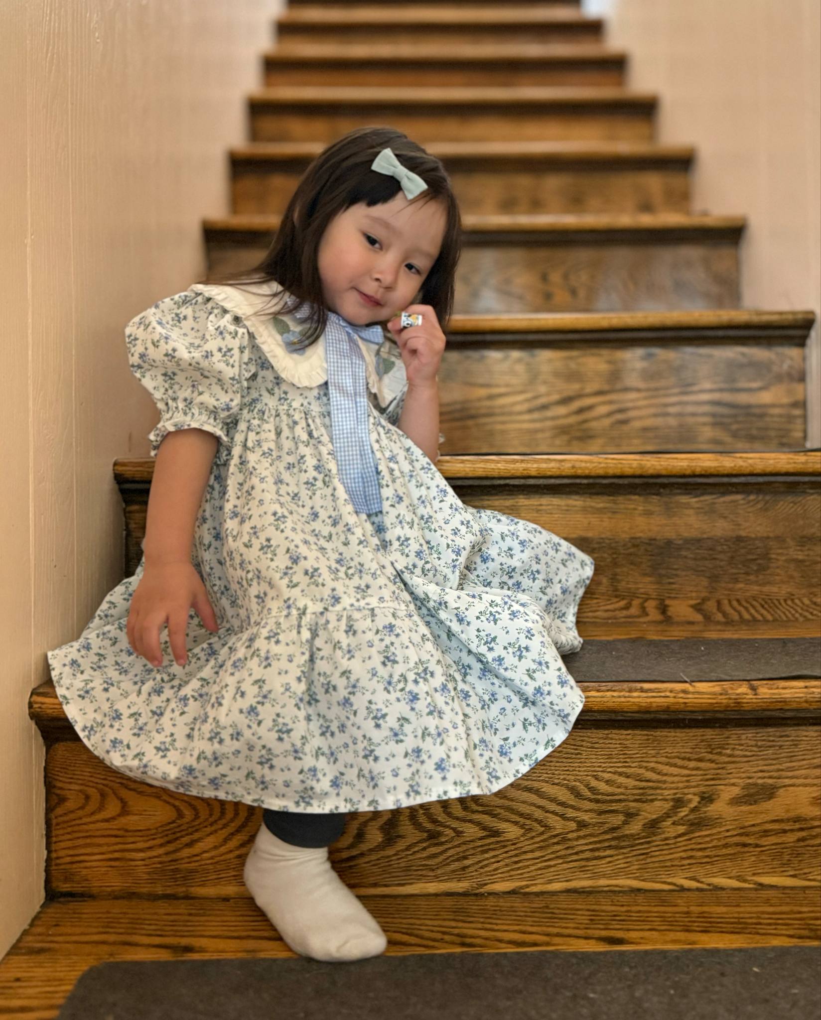 Embroidery Collar Cottage Dress